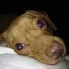Brian Todd Cypert - @briantoddcypert - TikTok