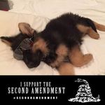 Brian Cyrus - @bcyrus1 - Instagram