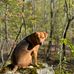 Brian Daggett Jr - Facebook