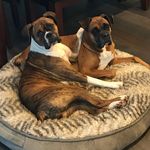 @briandaggett21 - Instagram