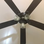 Brian Dammer - @brian_dammer - Instagram