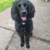 briandamman - @brian.damman - TikTok