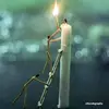 dammybrian - @dammybrian - TikTok