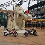 Brian Danner - @wolvington34 - Instagram