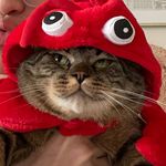 Brian Dao - @bdao.png - Instagram