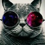 Brian Dark - @brian.dark - Instagram