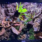 Brian darrow - @califrogman - Instagram