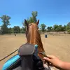 bri.and.arrow - @bri.and.arrow - TikTok