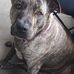 Brian Deford - Facebook