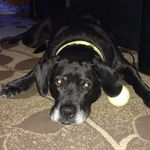 Brian DeHart - @dehart2121 - Instagram