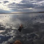 Brian Dehart - @brian.dehart.7 - Instagram