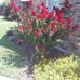 Brian DeHart - Facebook