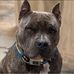Brian DeJong - Facebook