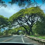 Brian DeMarco - @bdm2427 - Instagram