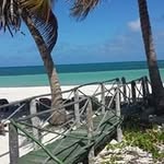 Brian Demaree - @brian.demaree - Instagram