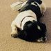 Brian Dennerley - Facebook