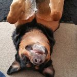 Brian Dennison - @dennison.brian - Instagram