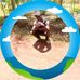 Brian Denise - Facebook