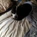 Brian Denson - Facebook
