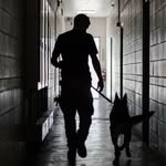 Brian Dent - @pinche_brian - Instagram