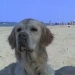 Bebo - @brian.depa - Instagram