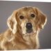 Brian Depew - Facebook