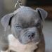 Brian Yolo DePlanche Jr. - Facebook