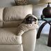 Brian Depue - Facebook