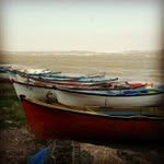 Brian Derby - @plotaccuma - Instagram