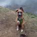 Brian Derr - Facebook