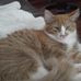 Brian DeRusha - Facebook