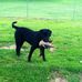 Bryan Deshazo - Facebook