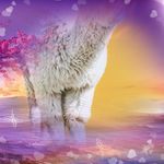 Brian Deter - @brain.deter - Instagram