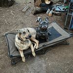 Brian Deter - @deterbrian - Instagram