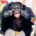 Brian Dieter - Facebook