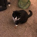 Brian Determan - @determanbrian2018 - Instagram
