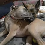 Brian Detrick - @bcdetrick - Instagram