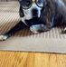 Brian Deveau - Facebook