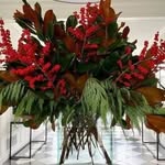Brian Deveau - @bridog2 - Instagram