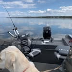 Brian Devereaux - @brian_devereaux - Instagram