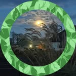 Brian Dewar - @brian.dewar.319 - Instagram