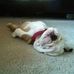 Brian DeWitt - Facebook