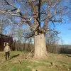Brian DeWitt - @beautsofky270 - TikTok
