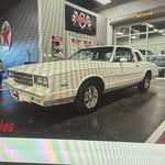Brian DiDomenico - @bdidomenico_2313 - Instagram