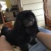Brianna DiDomenico - Facebook