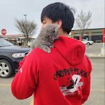 Brian Diego - @brian.d.monkey - Instagram