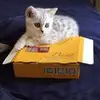 BrianDiego - @2161448494 - TikTok