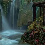 Brian Dieter - Facebook