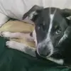 briandieter191 - @briandieter191 - TikTok