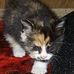 Brian Digby - Facebook